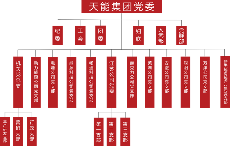 天能建团党委组织架构